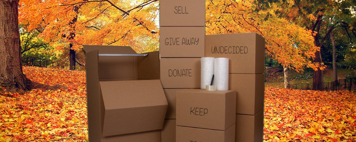 THE Ottawa Real Estate - Purge Your Home - Moving Boxes