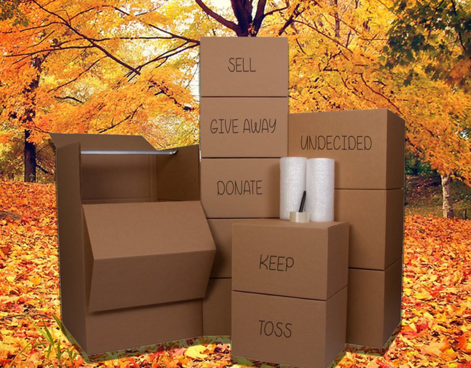 THE Ottawa Real Estate - Purge Your Home - Moving Boxes
