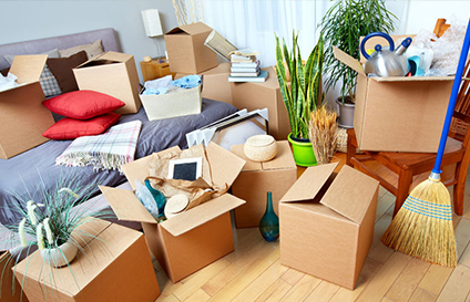 Ottawa Real Estate - Purge Your Home - Declutter Boxes