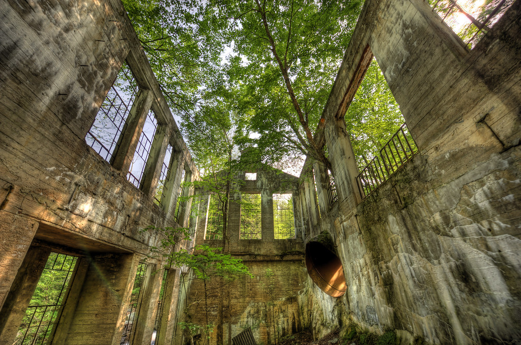 10 Reasons Why You Should Relocate to Ottawa - Carbide Willson Ruins