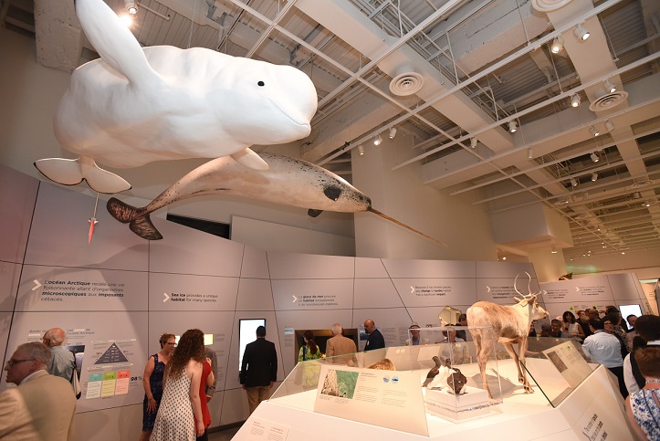 10 Reasons Why You Should Relocate to Ottawa - Canadian Museum of Nature