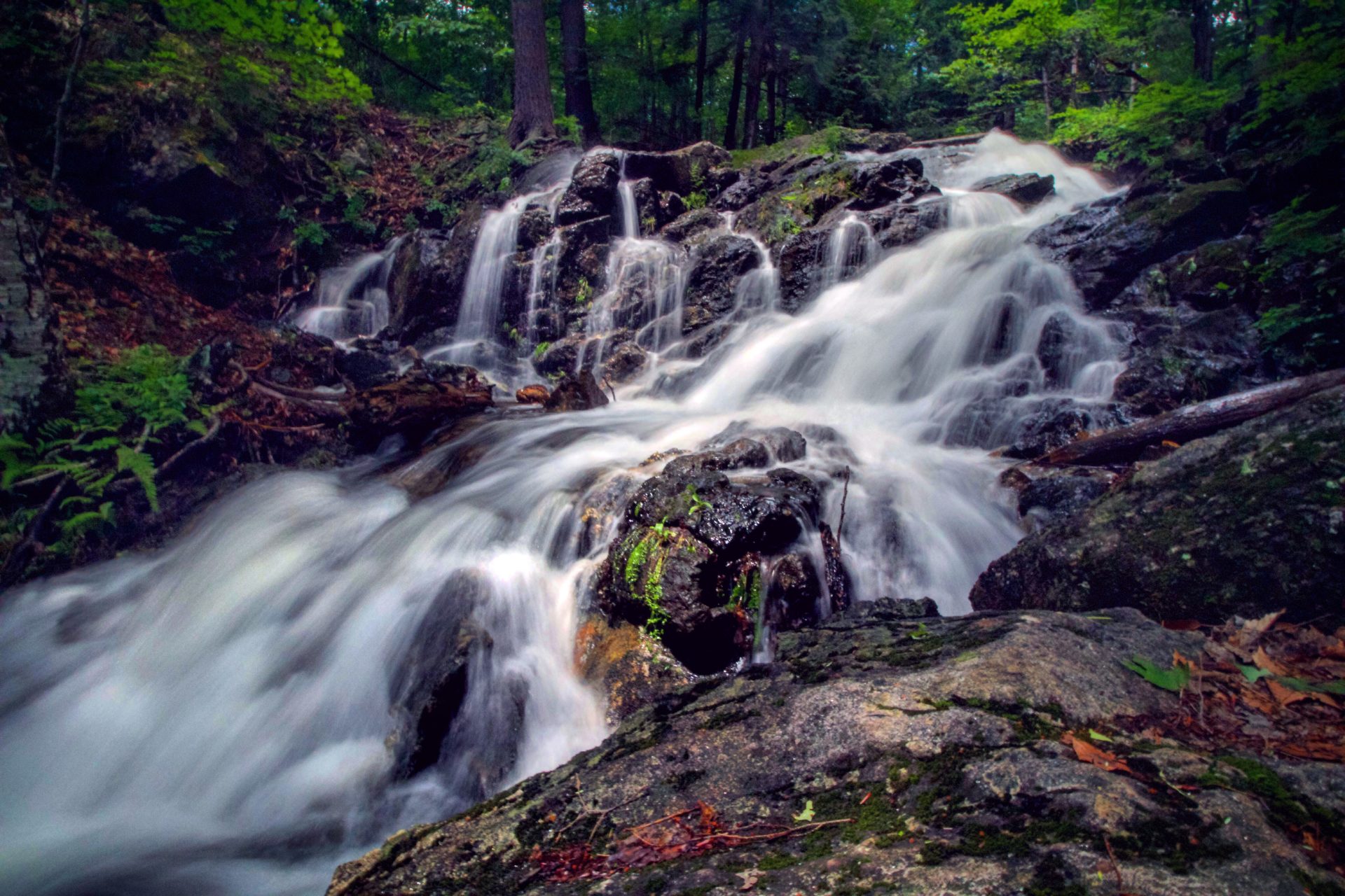 10 Reasons Why You Should Relocate to Ottawa - Waterfall Trail