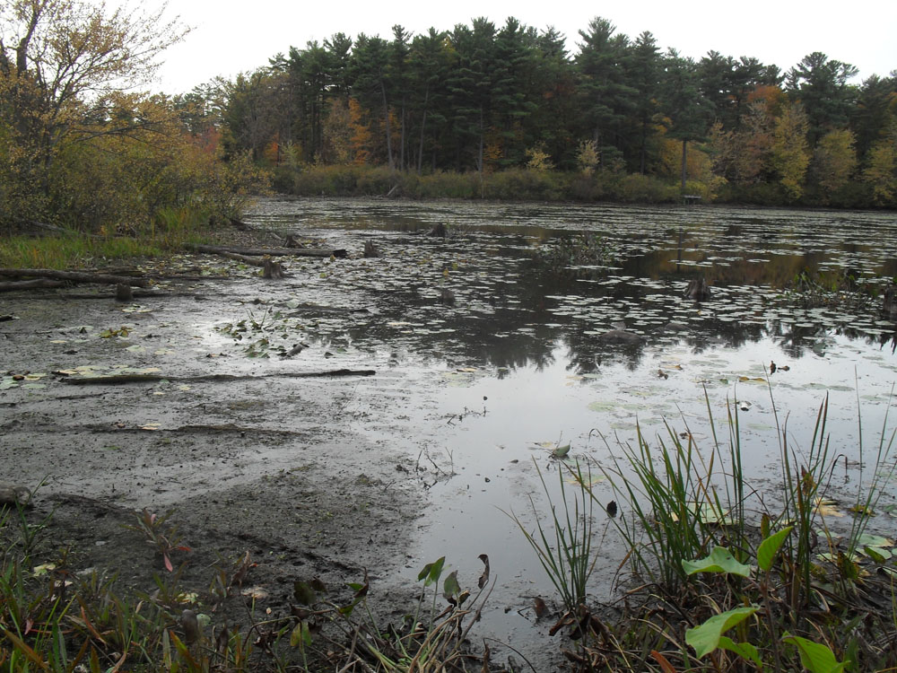 Mud Lake