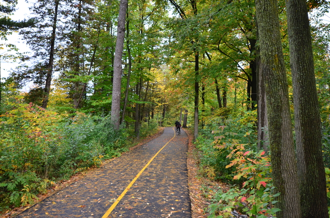 Rideau River Eastern Pathway