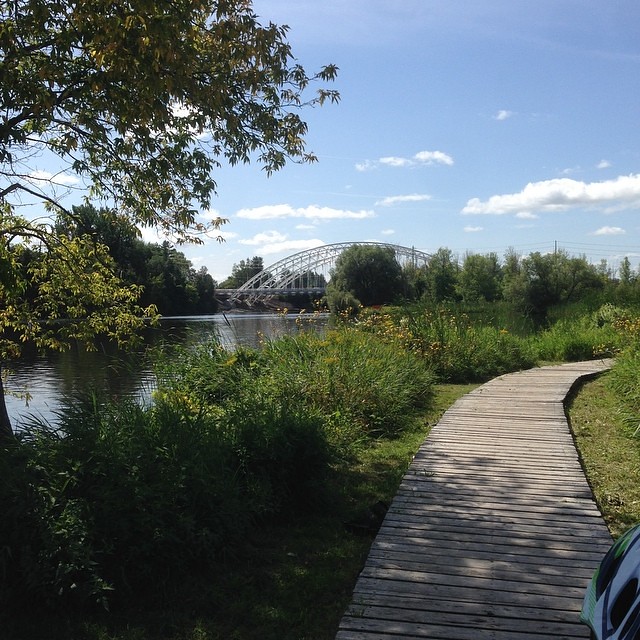 Chapman Mills Conservation Area Boardwalk