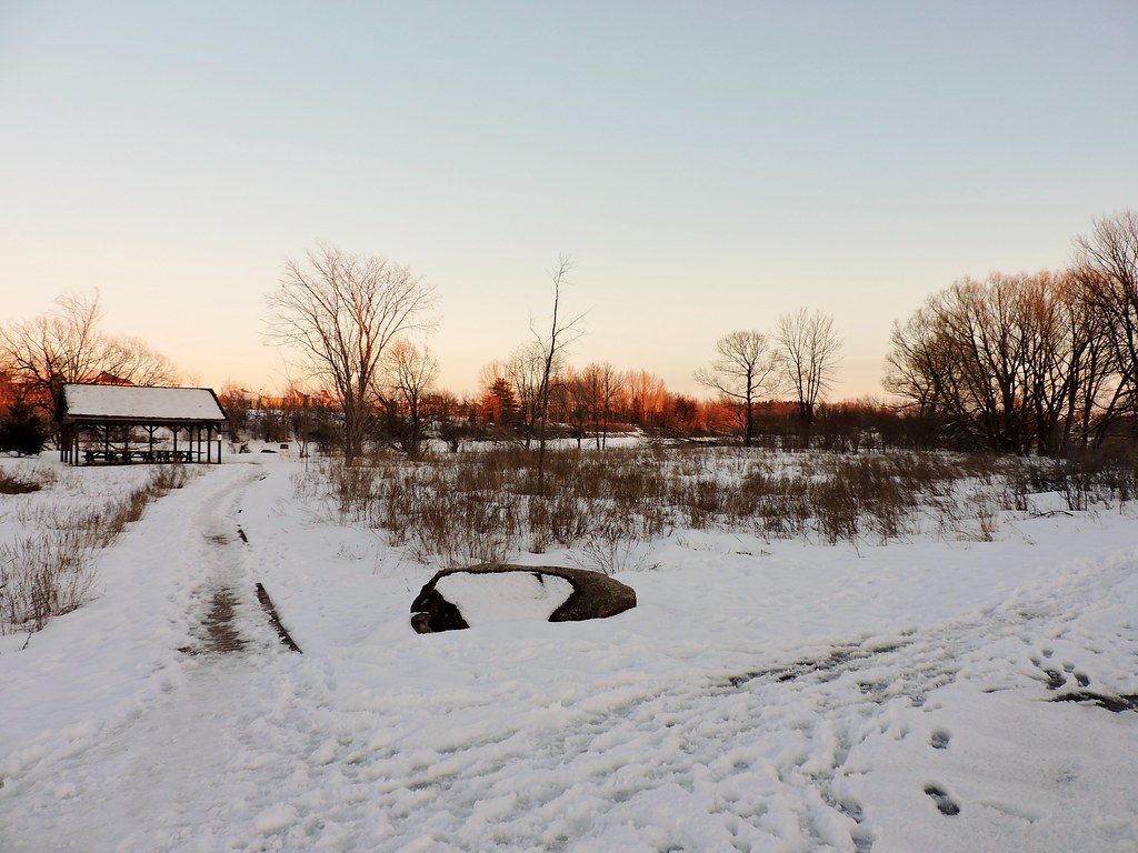Chapman Mills Conservation Area Trail in winter