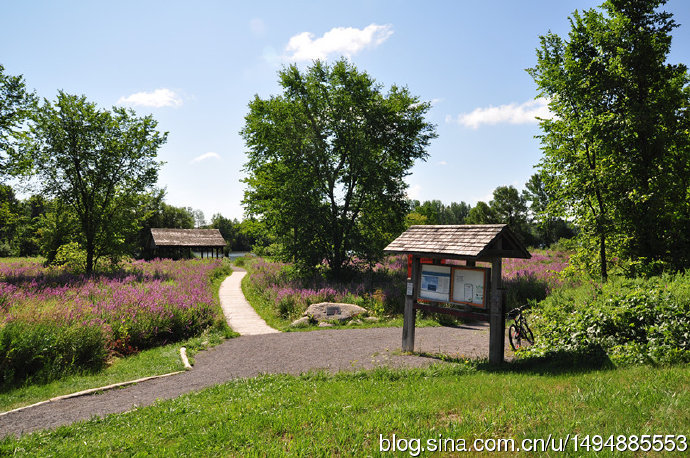 Chapman Mills Conservation Area Trail