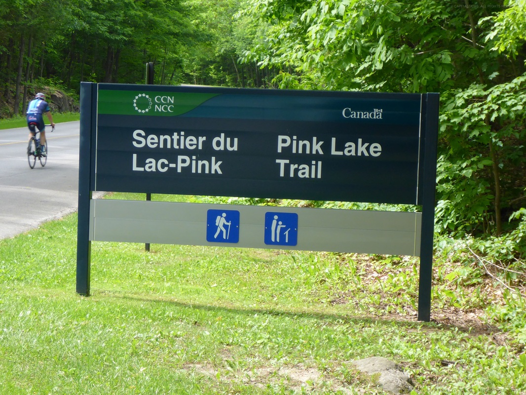 Pink Lake Trail