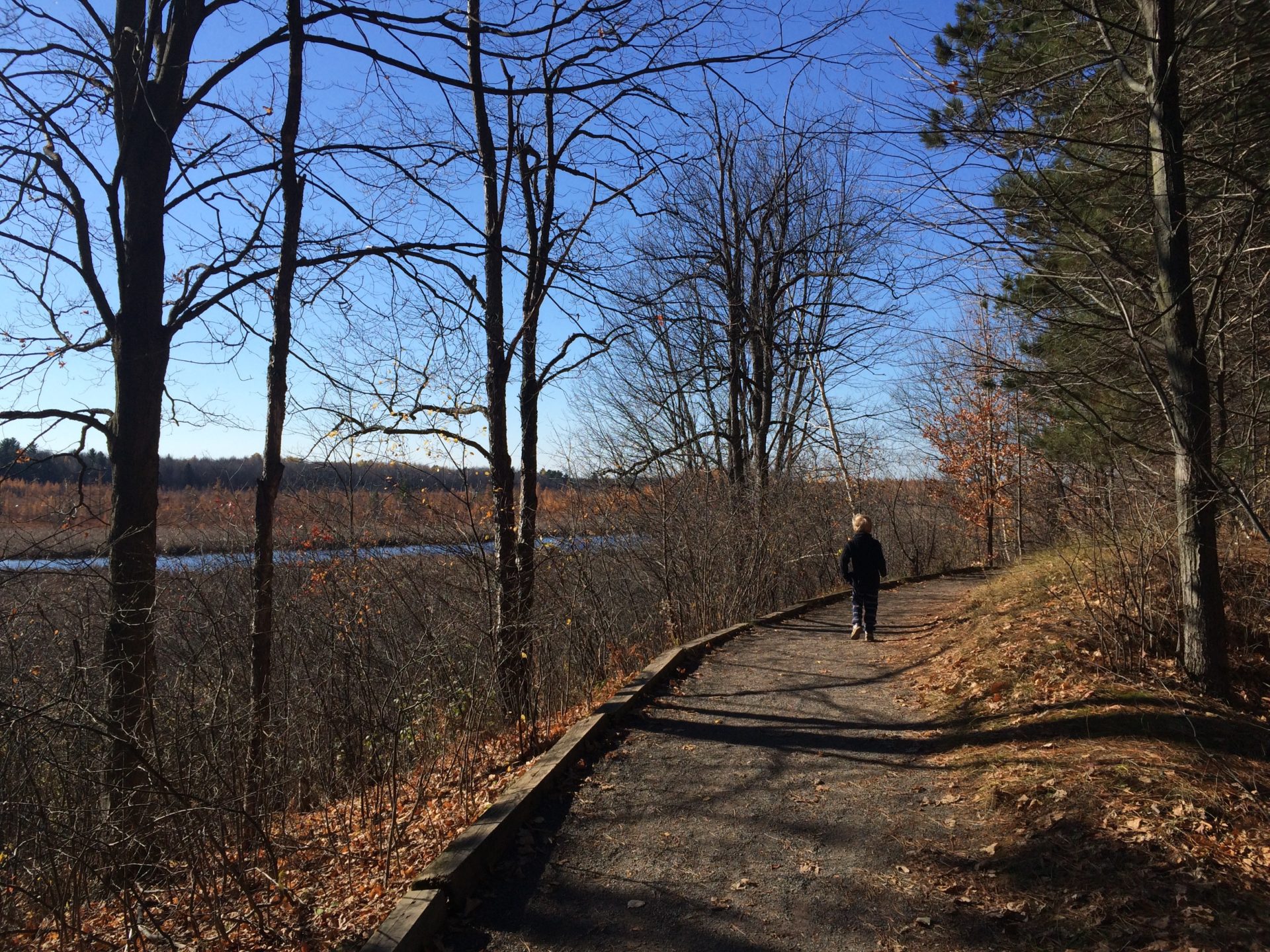 Mer Bleue Bog Trail 