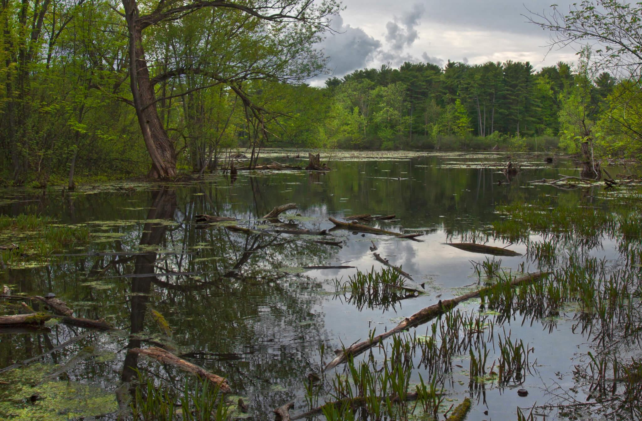 Mud Lake