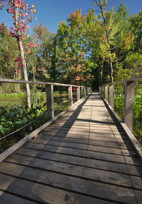 Mud Lake Trail Boardwalk