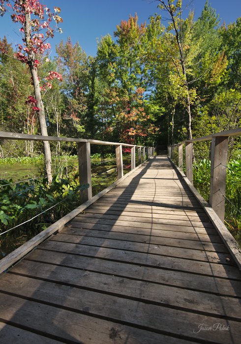 Mud Lake Trail Boardwalk