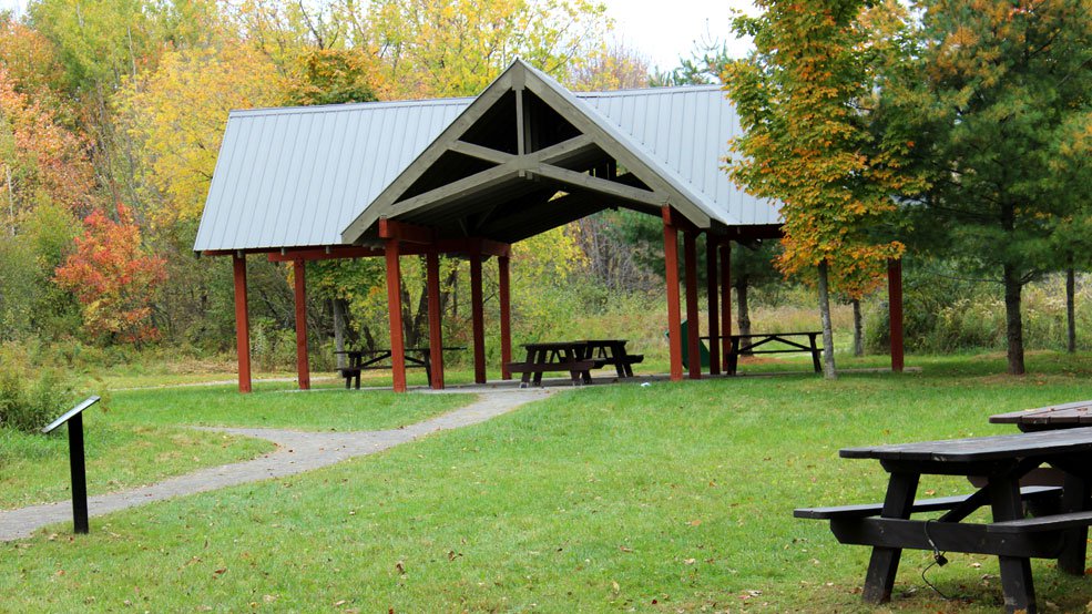 Picnic Shelter at Mer Bleue Bog Trail 