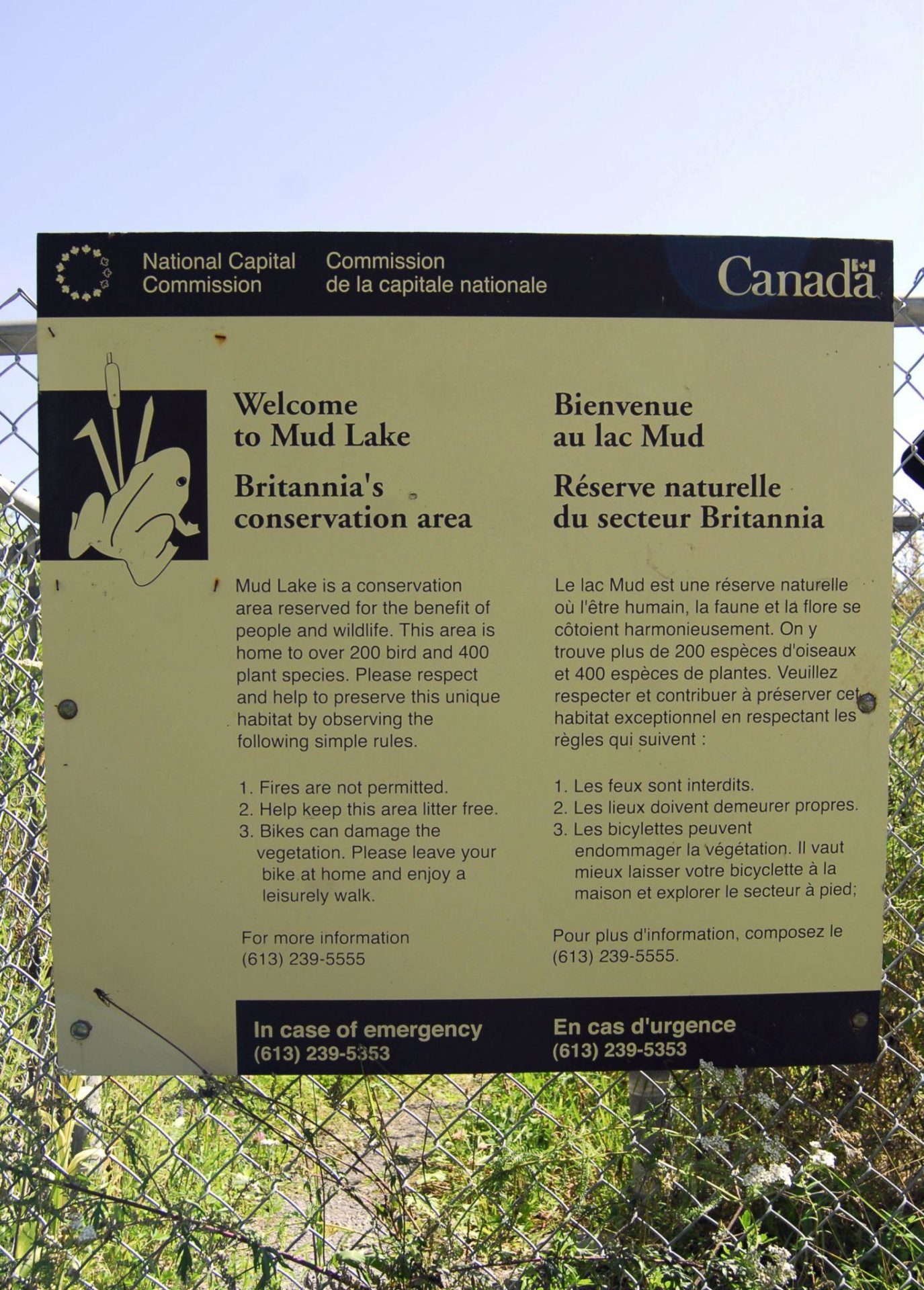 Mud Lake Trail Information Plaque