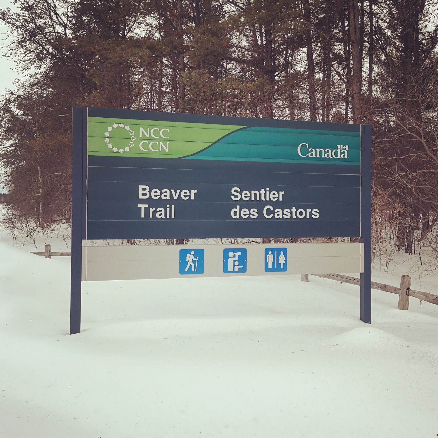 Beaver Trail Road Sign