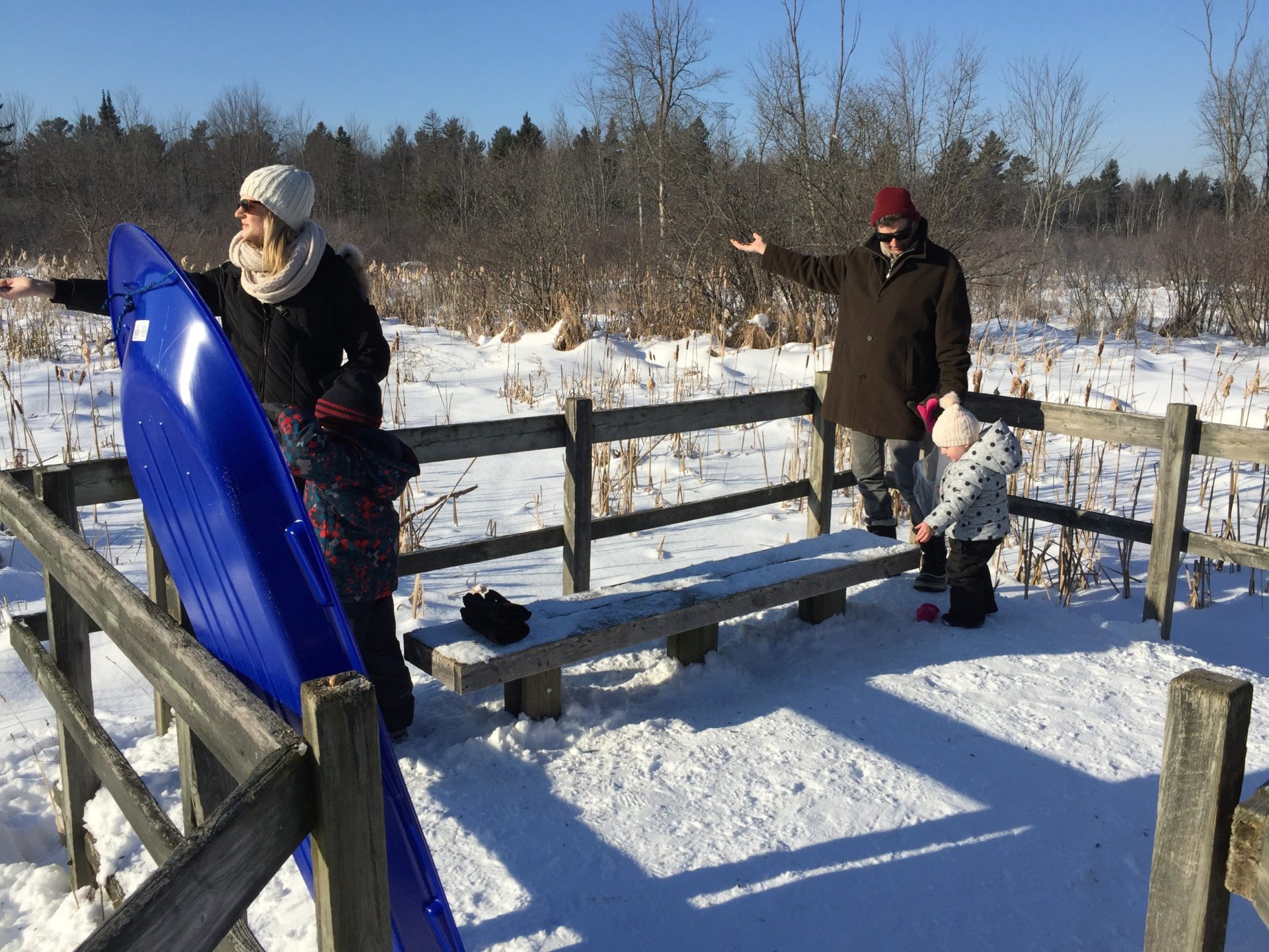 Boardwalk at the Beaver Trail