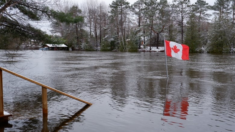 Make sure the structure and shoreline can withstand extreme weather