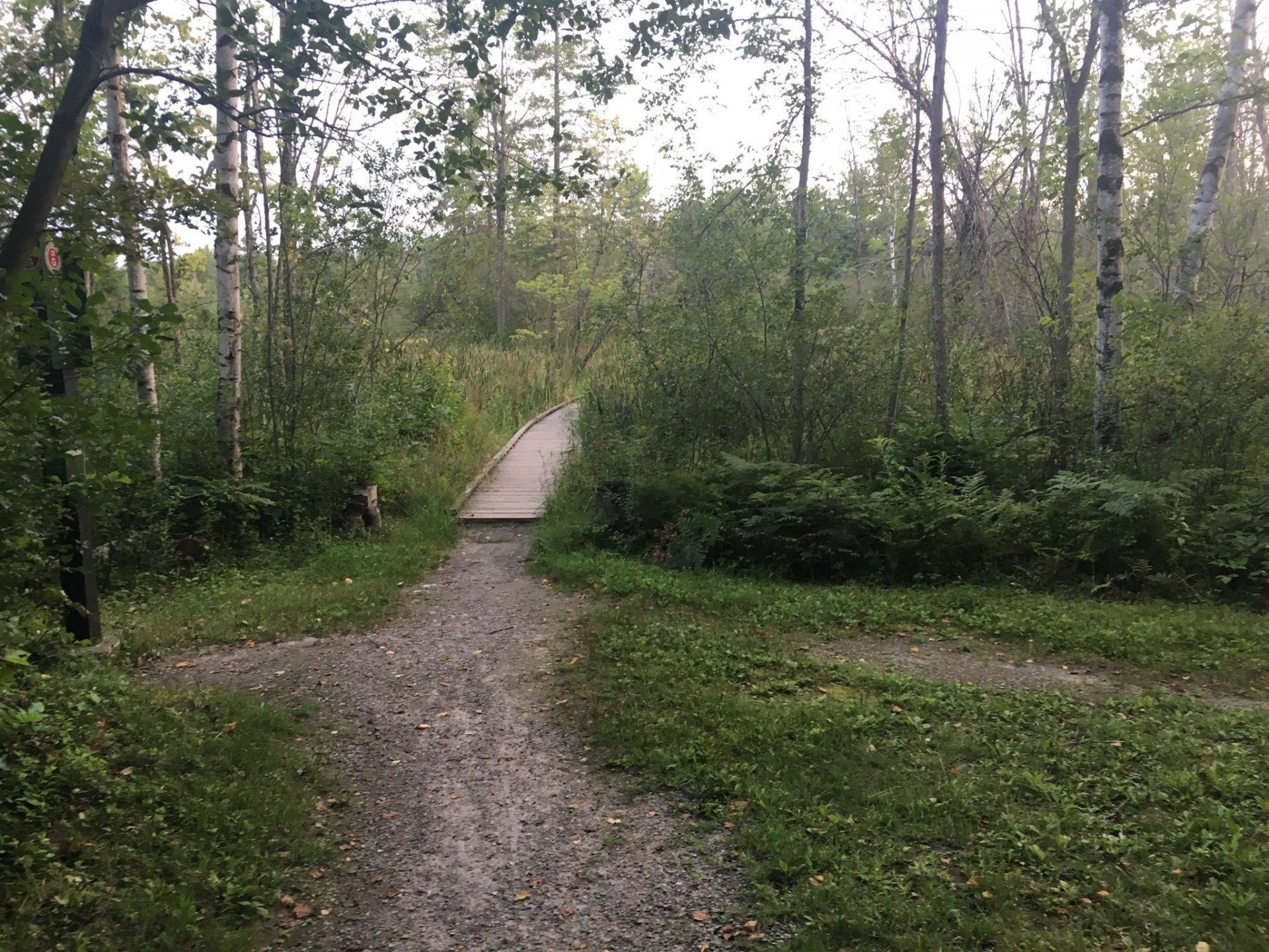 Chipmunk Trail