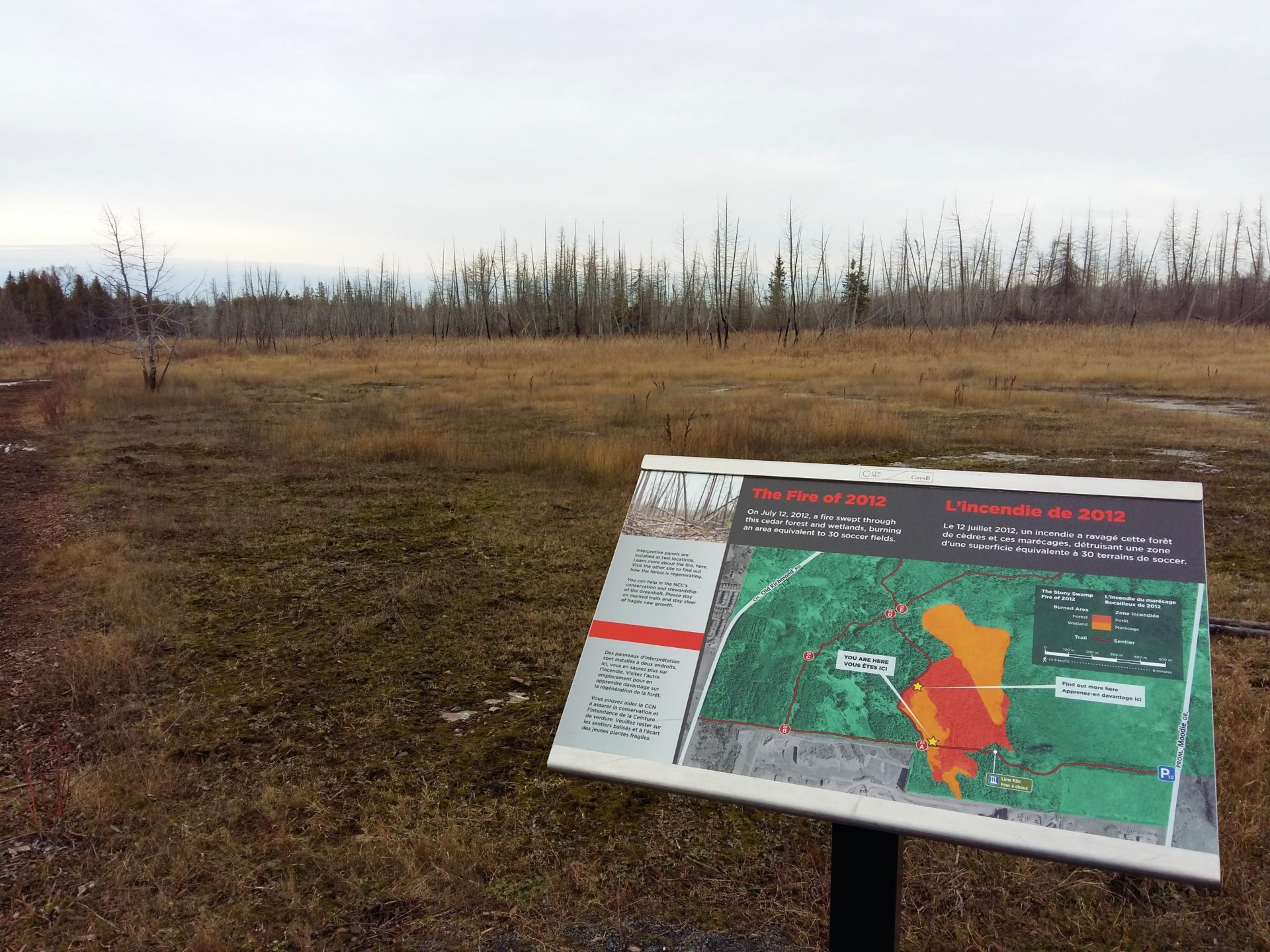 Swamp Fire at Lime Kiln Trail