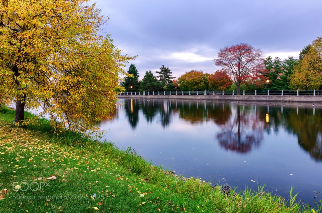 View fall foliage at the Dominion Arboretum