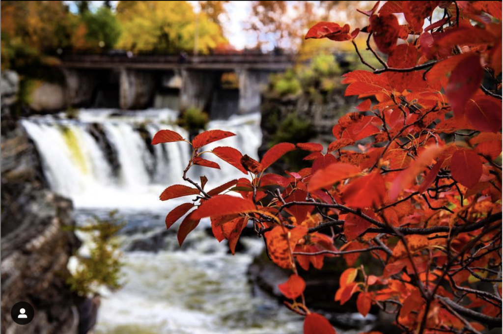 View fall foliage at Hogs Back - Photo by Lana Cole