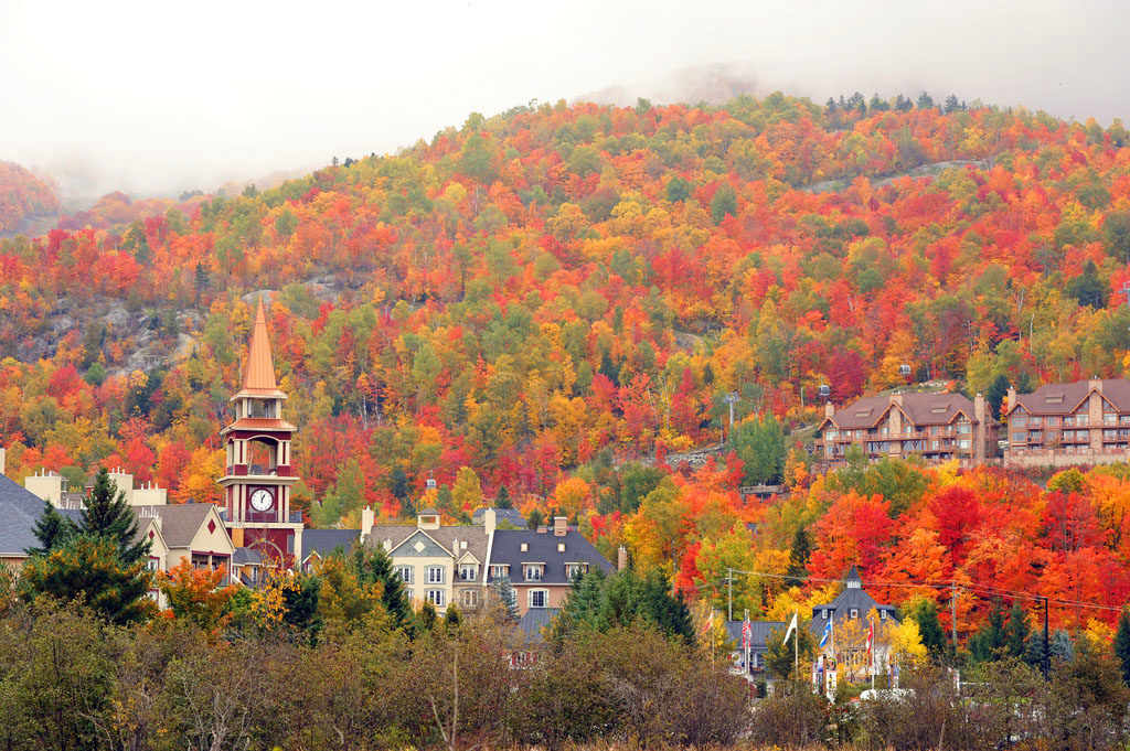 View fall foliage at Mont Tremblant