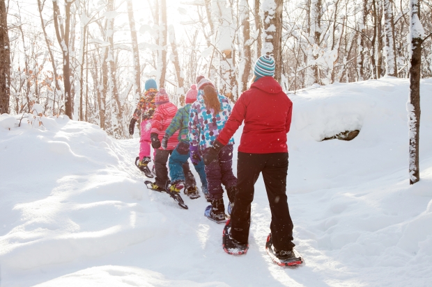 Ottawa's Top Winter Activities, Snowshoeing in Gatineau Park