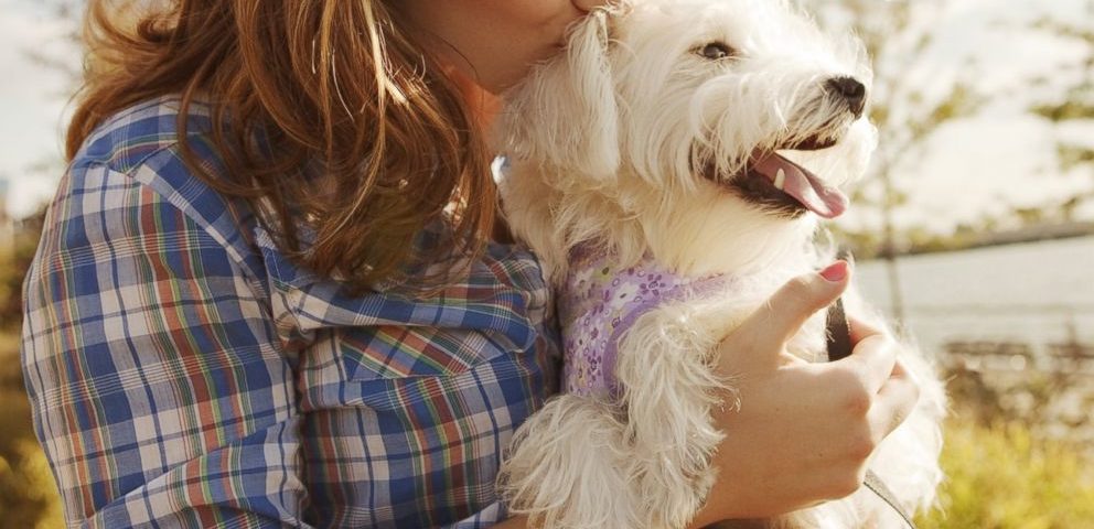 6 Simple Ways to Pamper Your Pooch​