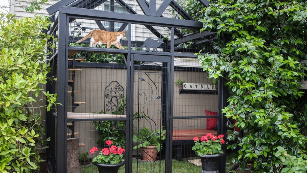 Catio Outdoor Trends