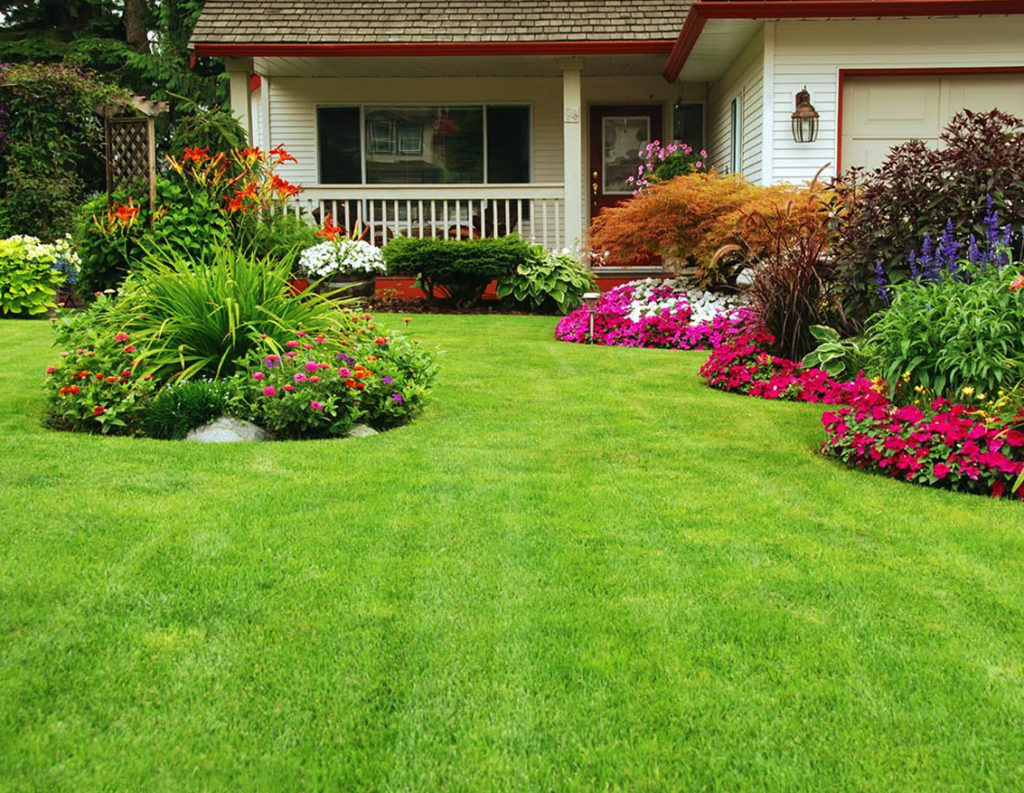 Reseed Your Lawn