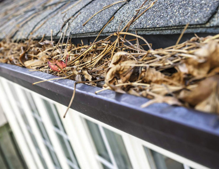 Clean Your Gutters