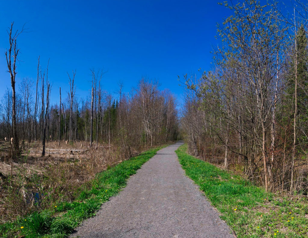 Ferguson Forest Trails