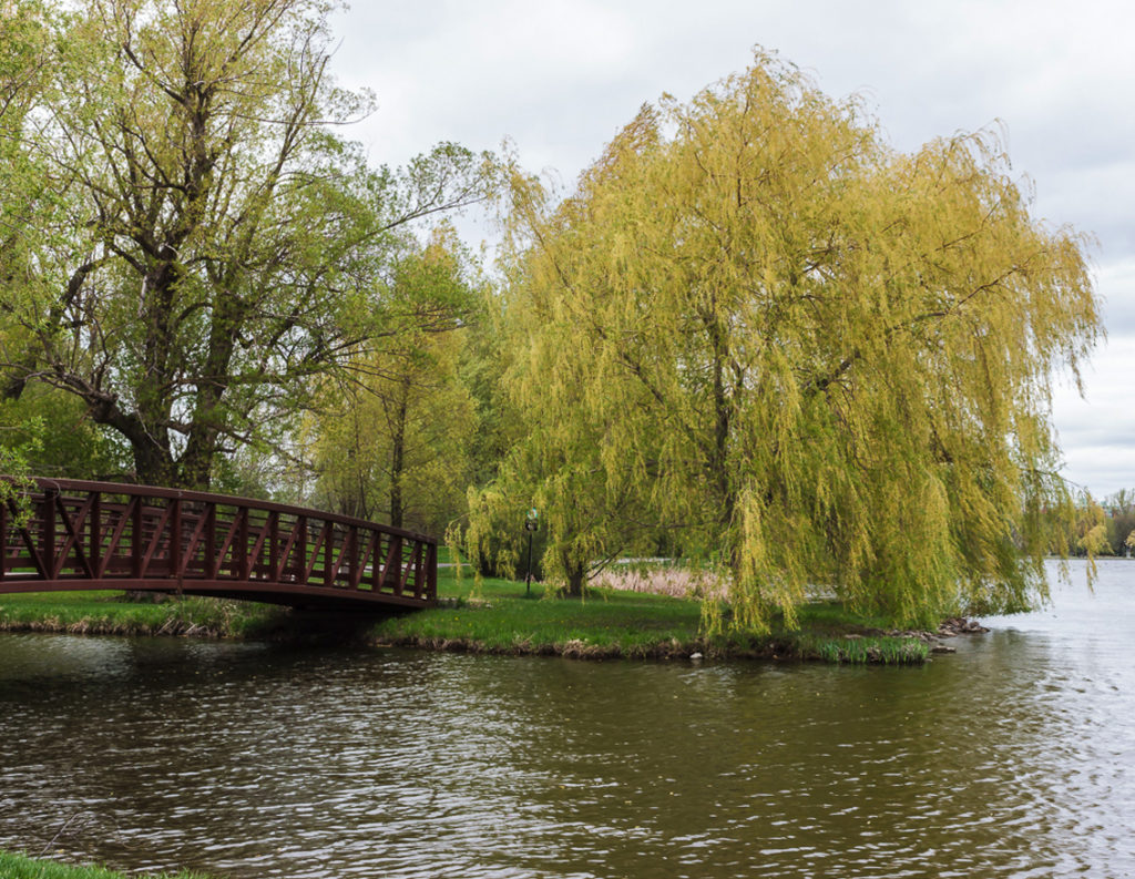 Dominion Arboretum