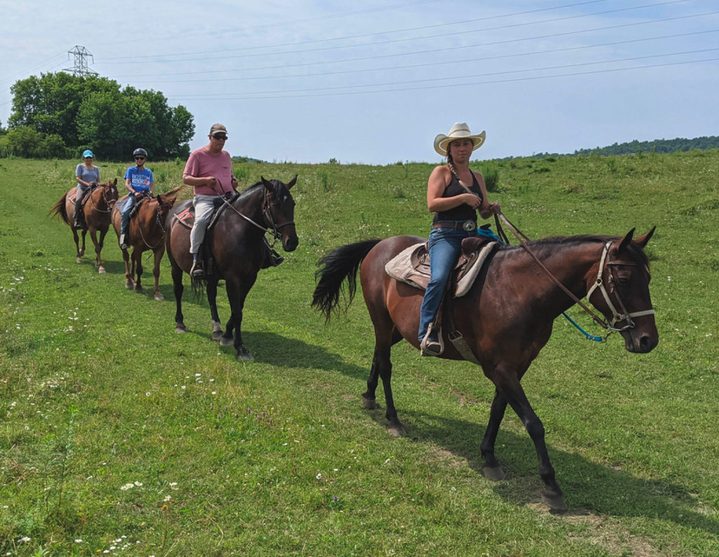 Horseback Riding at Captiva Farms