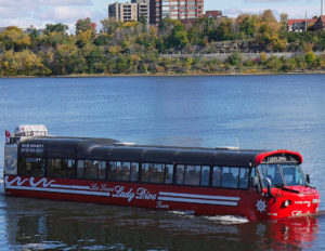 Lady Dive Amphibus