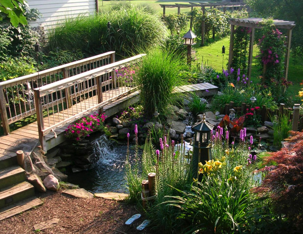 Растения в низине. Обустройство сада. Ландшафт с мостиком. Водоем в саду. Красивый сад на даче.