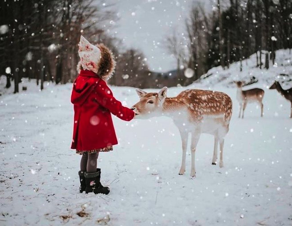 Parc Omega, Montebello, Quebec