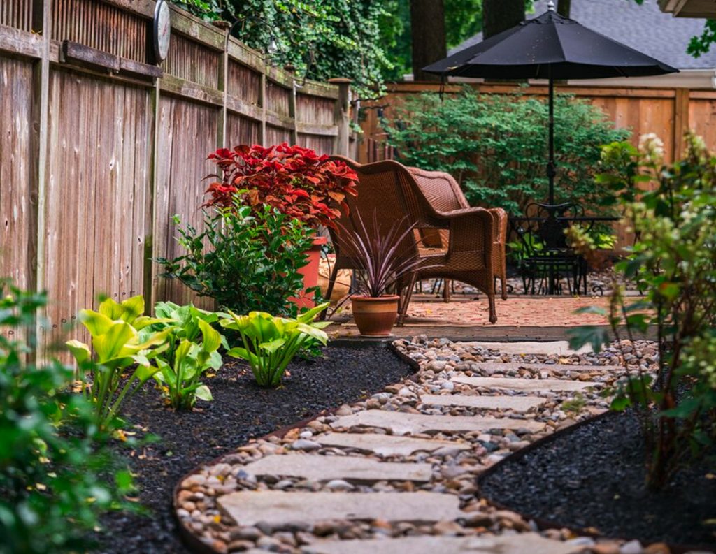 Backyard Garden