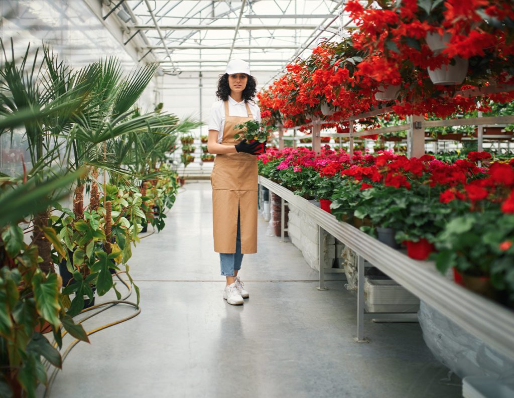 Greenhouse Shelving