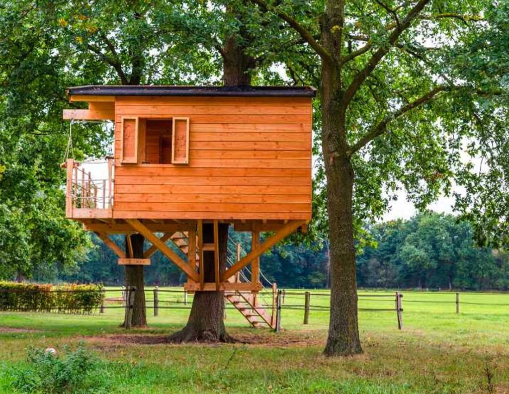 Backyard Treehouse