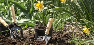 Prep Your Garden